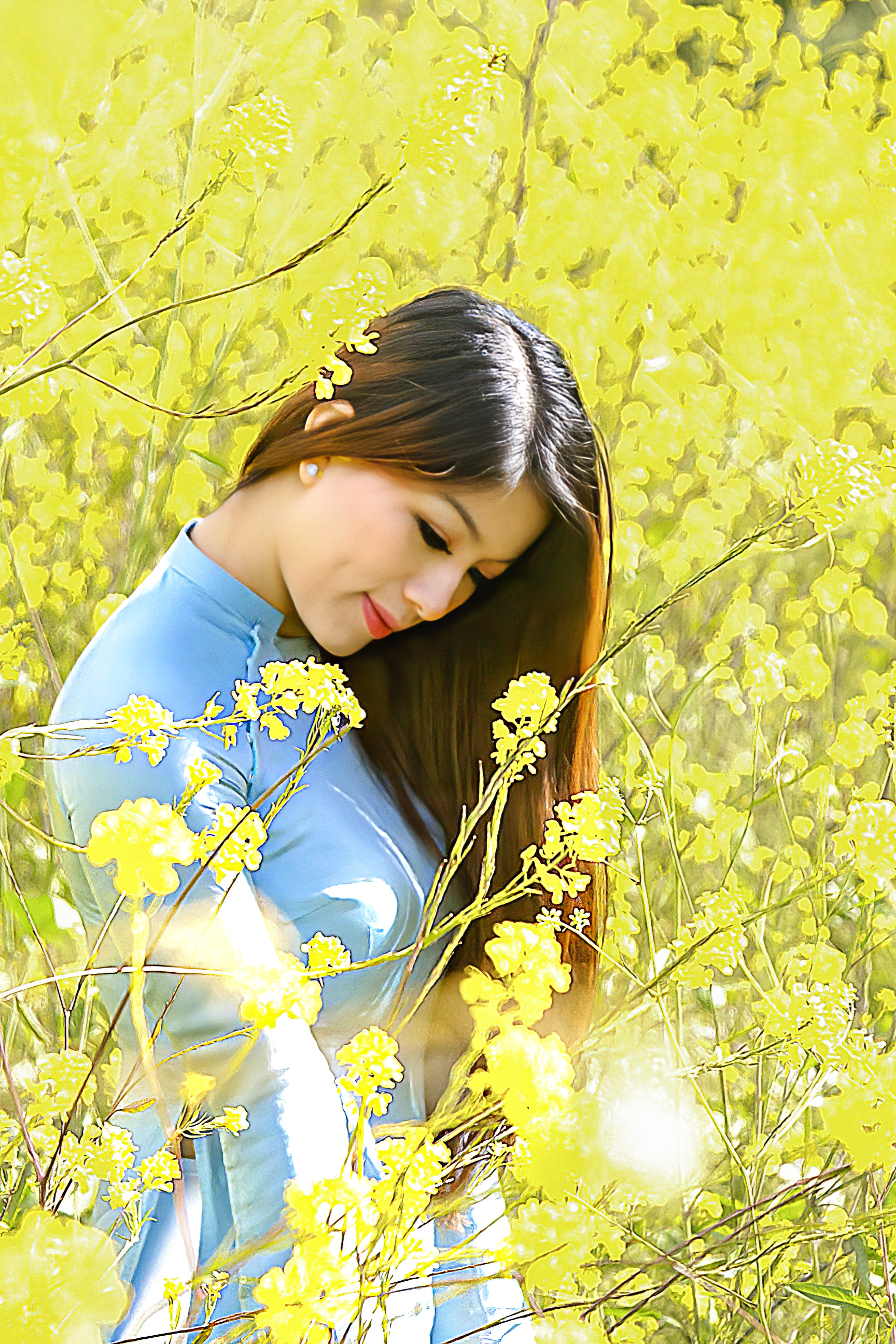 Hoa Vàng-SJ- (8)